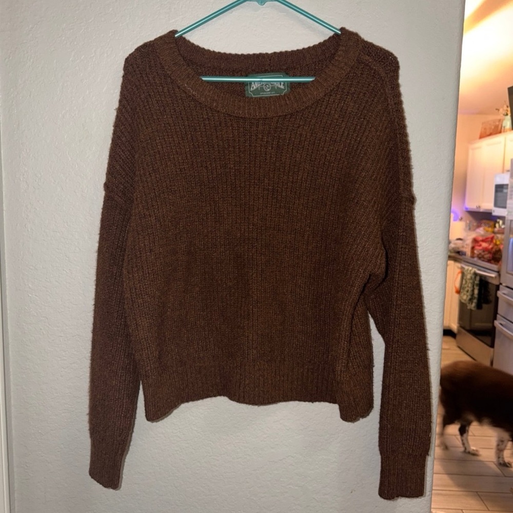 American Eagle Outfitters Rich Brown Crew Neck Sweater